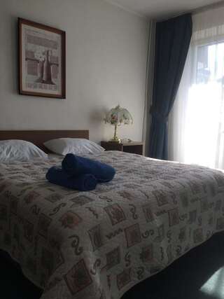 Отели типа «постель и завтрак» Mini Hotel Vesna Днепр Двухместный номер "Комфорт" с 1 кроватью и балконом-6